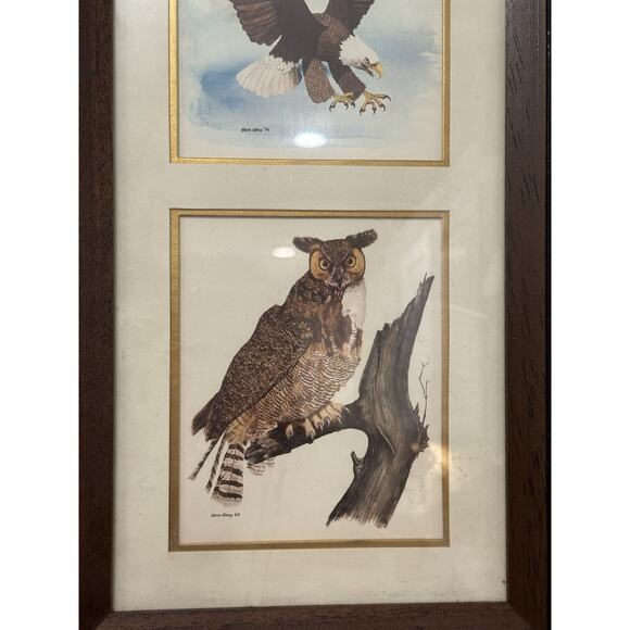 Gene Gray Wood Framed Signed 70 Prints King Fisher Bald Eagle Owl - Picture 3 of 5